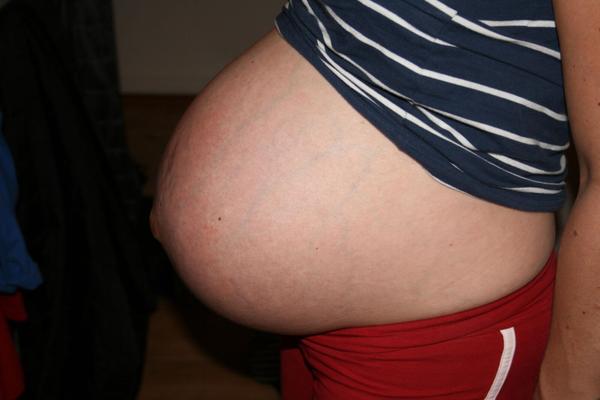 Signe Preggo