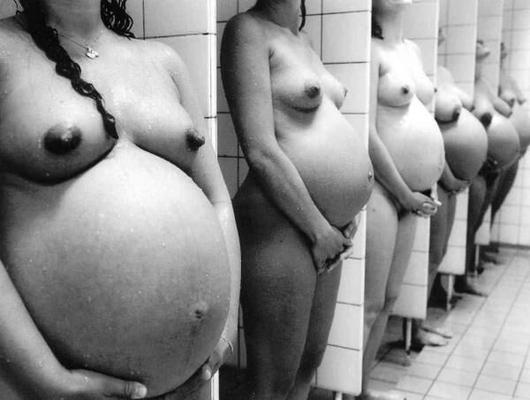 Bunch of pregnant women Collection