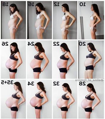 Other Pregnant Transformations, Part 16