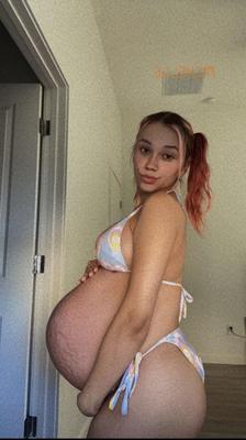 Pregnant mom with twin