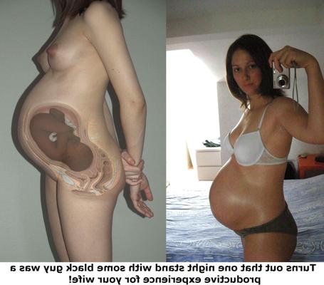 Interracial Pregnant Wife Stories 03